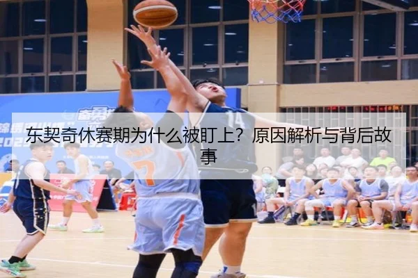 东契奇休赛期为什么被盯上？原因解析与背后故事